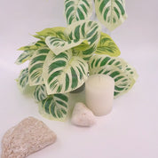 Calathea Yellow Fusion | Künstliche Zimmerpflanze für moderne Wohnraumdekoration