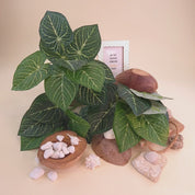 Anthurium clarinervium | Künstliche Dekopflanze für moderne Wohnraumdekoration